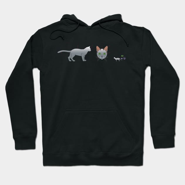 Korat mug Hoodie by Cedarseed